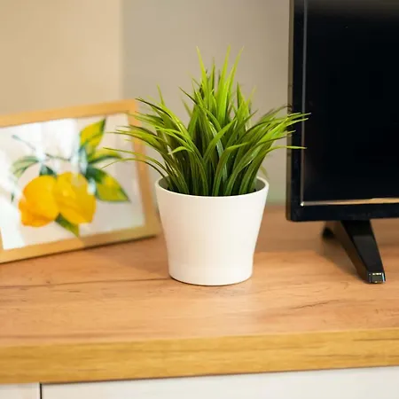 דירה Cozy Santa Marina