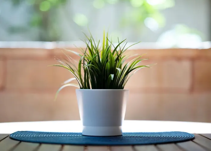 Cozy Santa Marina דירה *