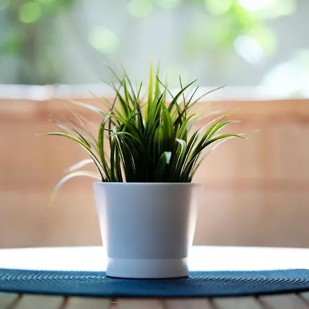 Cozy Santa Marina Apartament *