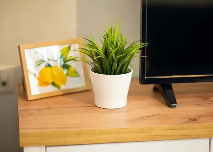 Апартамент Cozy Santa Marina